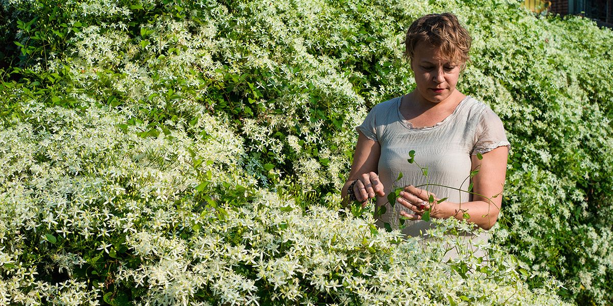 rebecca in the midst of tall flowering bush